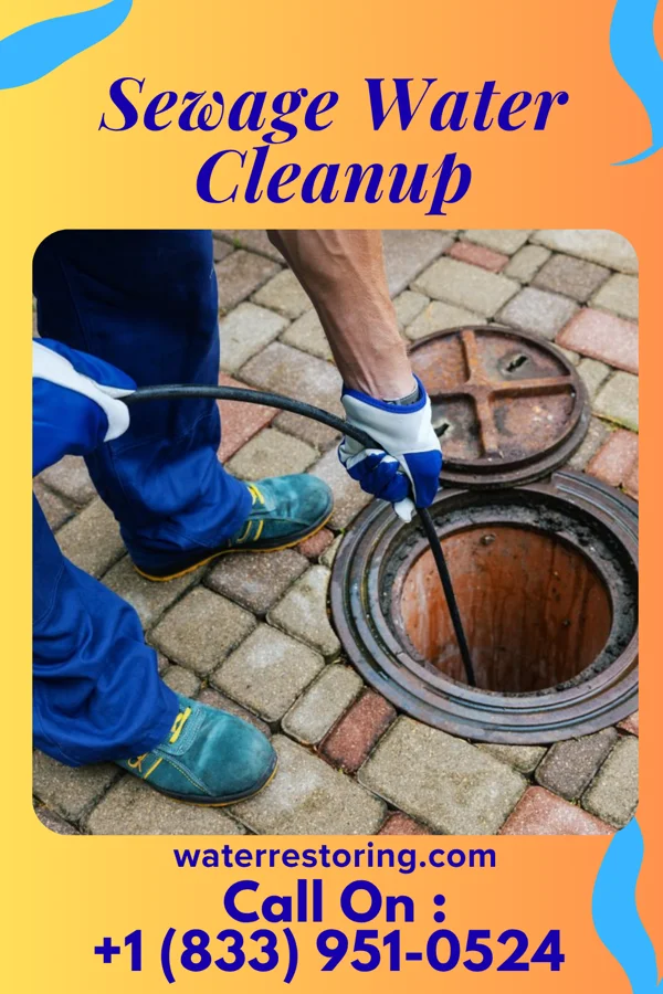 Sewage Water Cleanup in Salem, NC